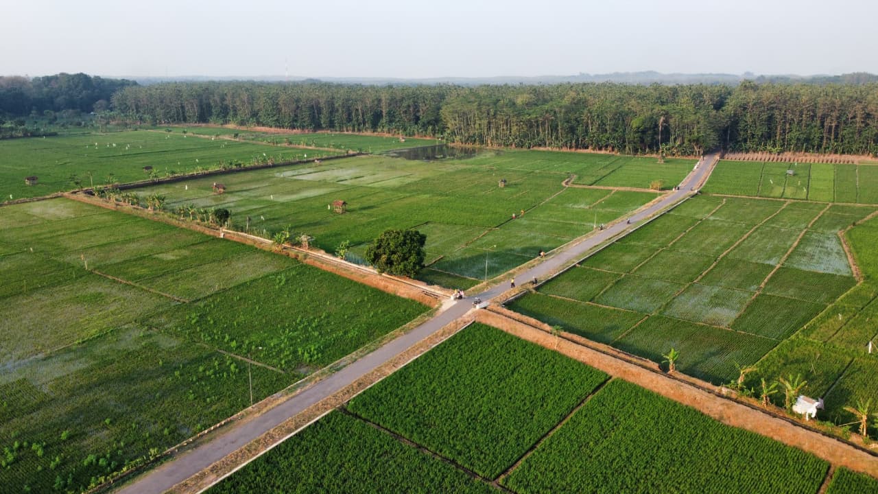 Pemandangan Desa Kebon Gede